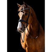 HB Hoofdstel Jump Rocky Glitter/Zwart