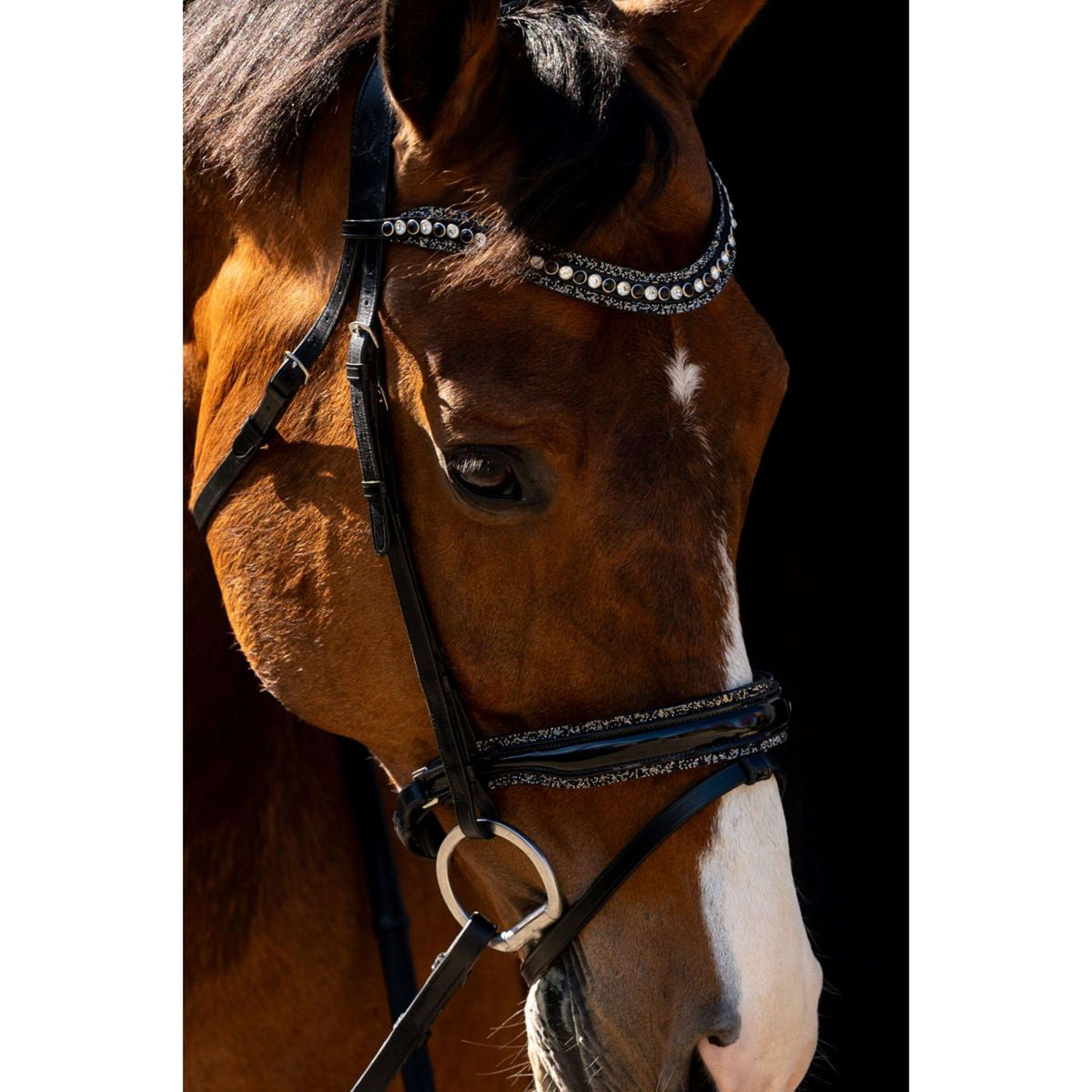 HB Hoofdstel Jump Rocky Glitter/Zwart