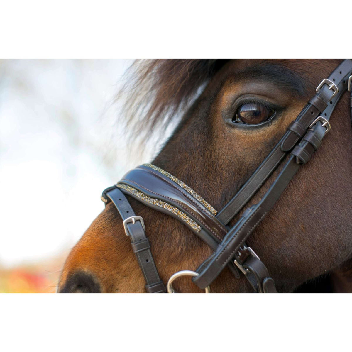 HB Hoofdstel Rocky Glitter Bruin