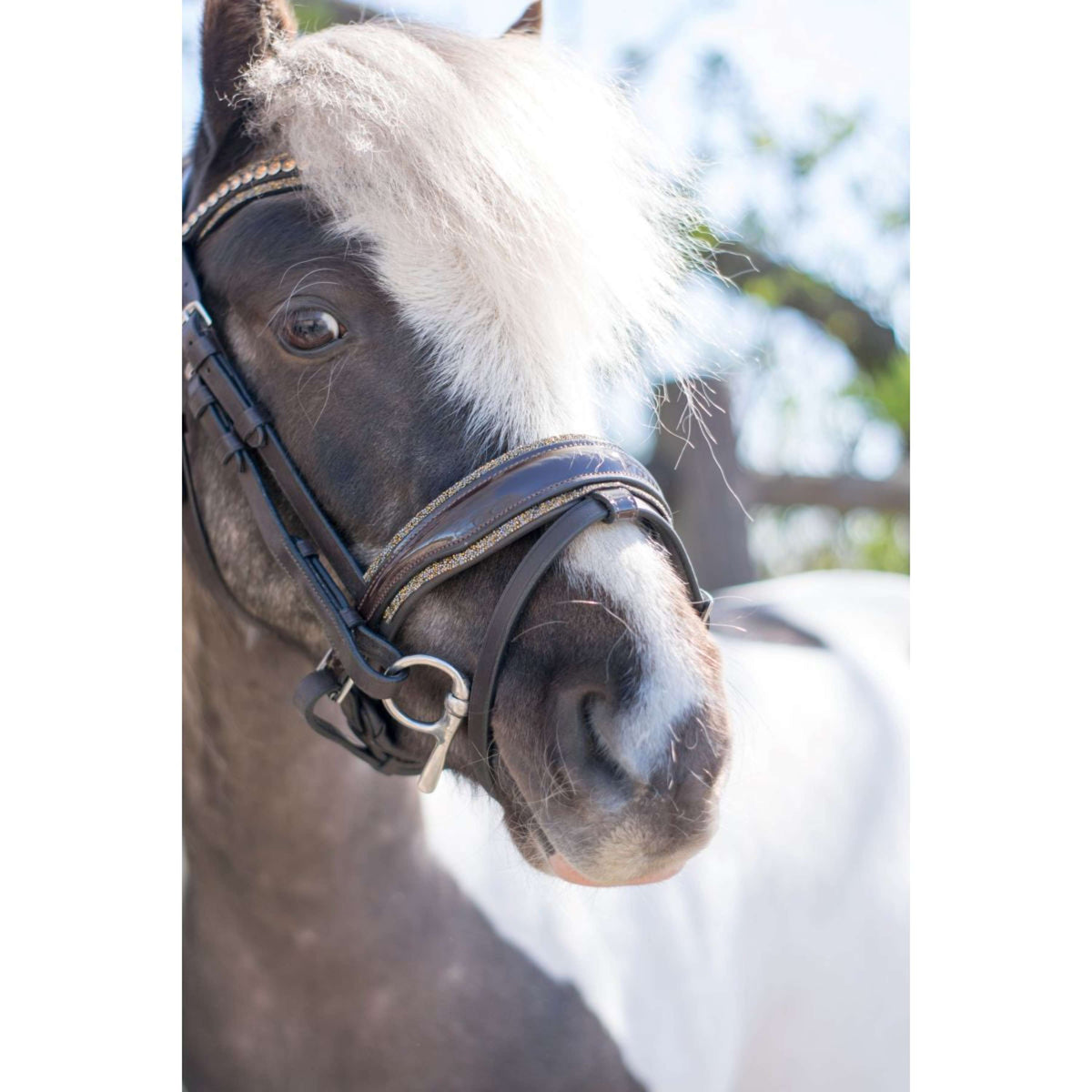 HB Hoofdstel Rocky Glitter Bruin