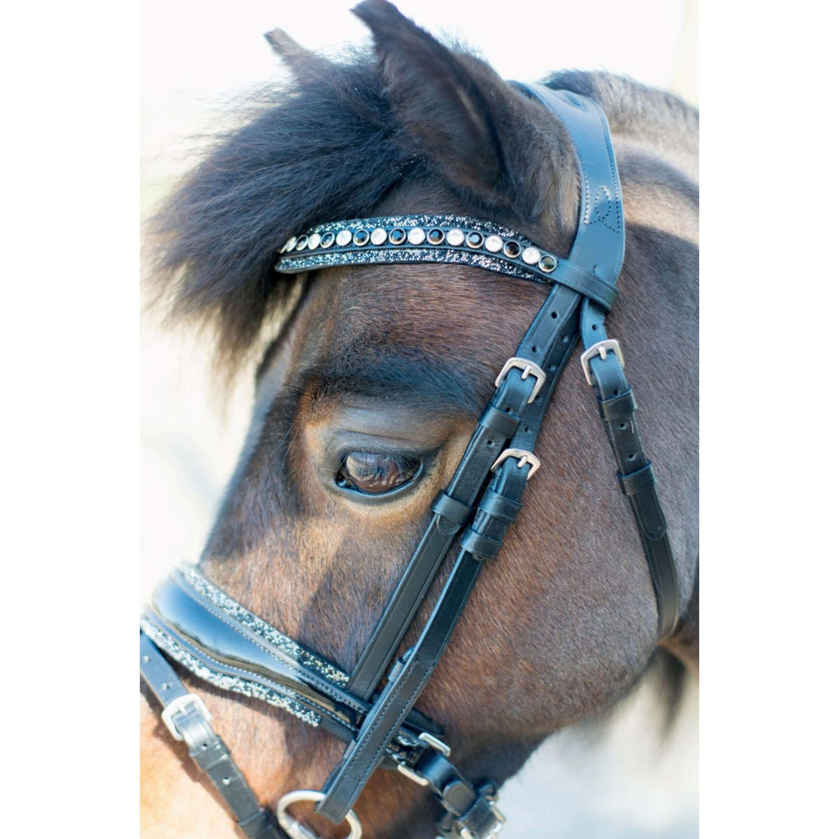 HB Hoofdstel Rocky Glitter/Zwart