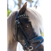 HB Hoofdstel Rocky Glitter/Zwart