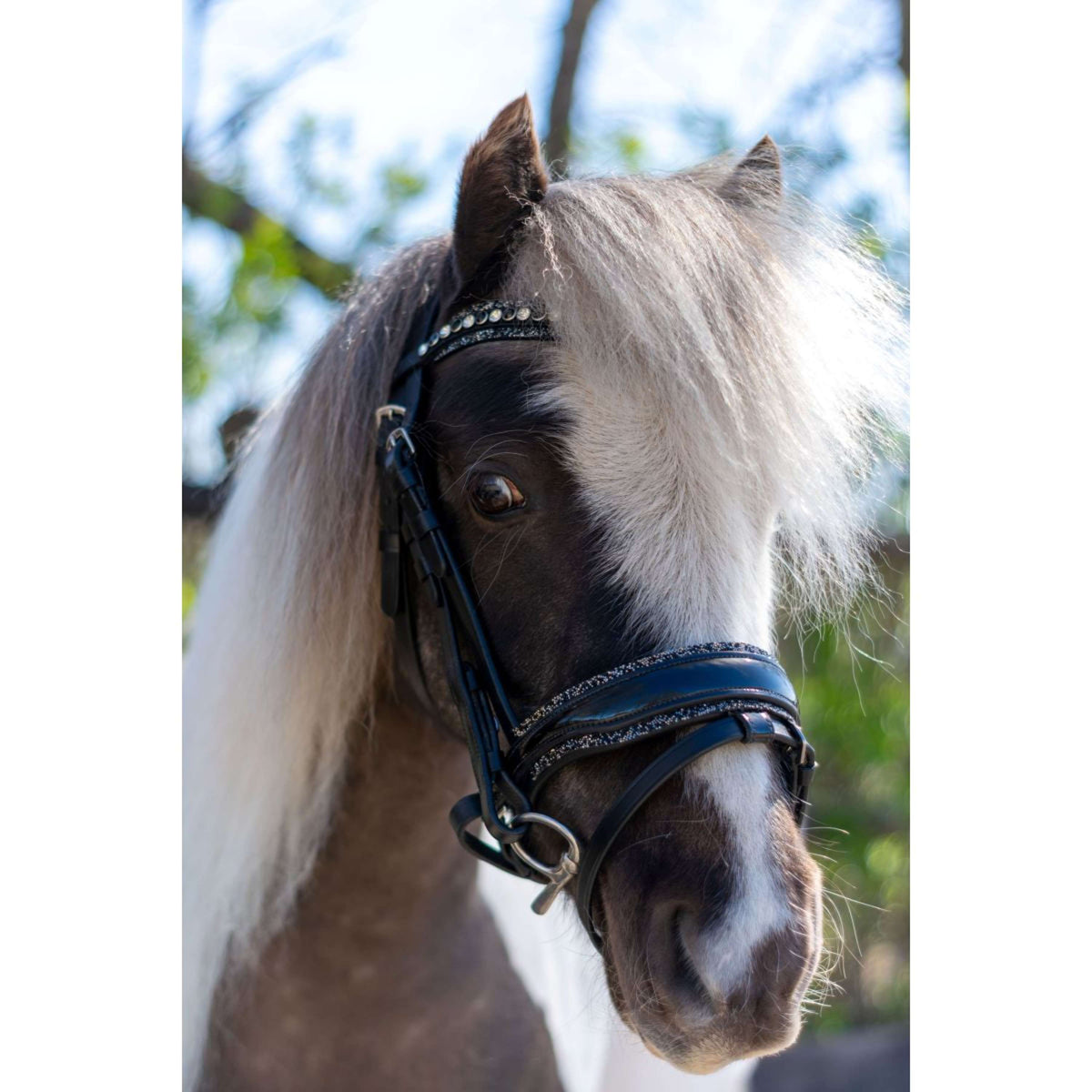 HB Hoofdstel Rocky Glitter/Zwart