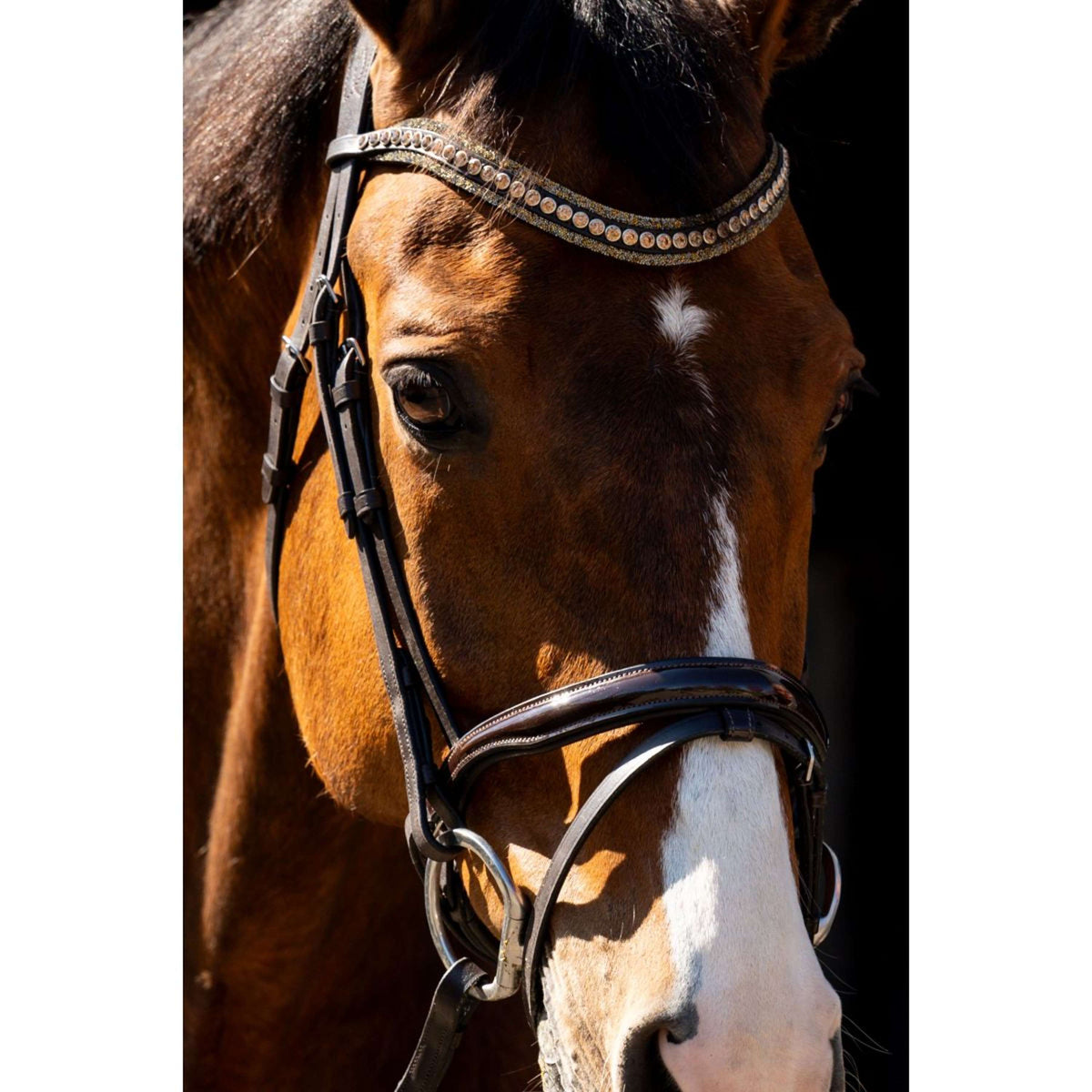 HB Hoofdstel Jump Bruin