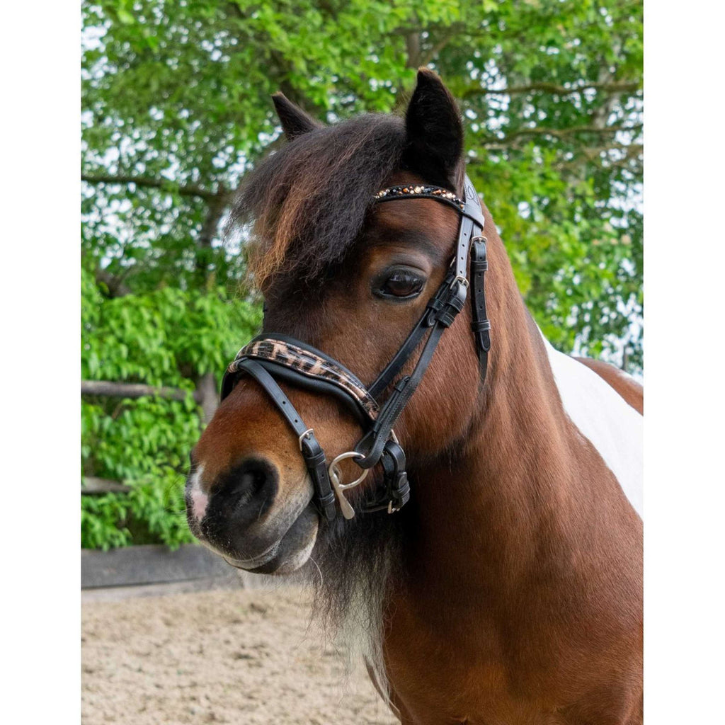 HB Hoofdstel Showtime Leopard Zwart