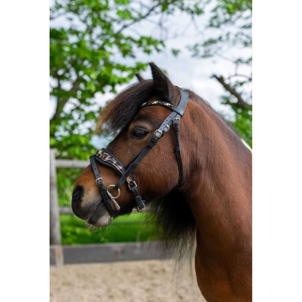 HB Hoofdstel Showtime Leopard Zwart