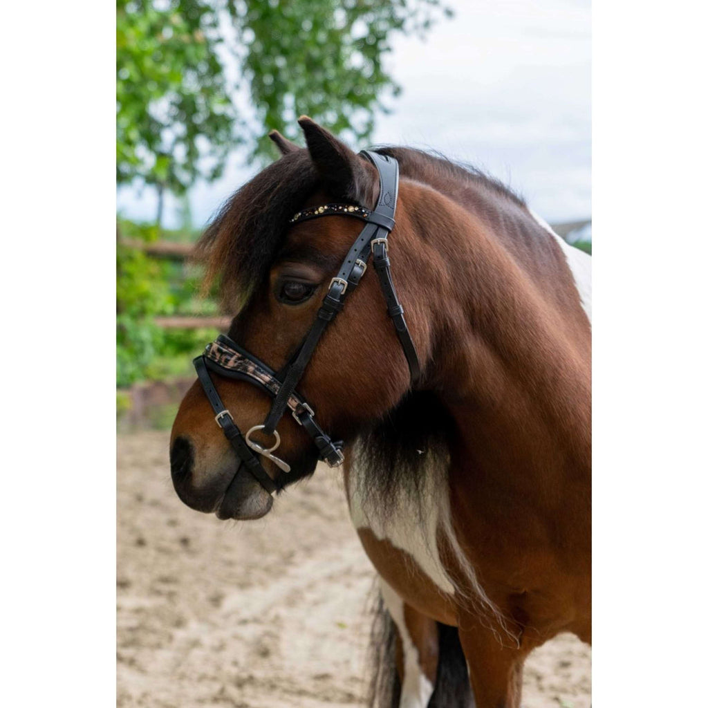 HB Hoofdstel Showtime Leopard Zwart