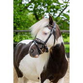 HB Hoofdstel Showtime Leopard Zwart