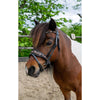 HB Hoofdstel Showtime Leopard Zwart