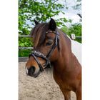 HB Hoofdstel Showtime Leopard Zwart