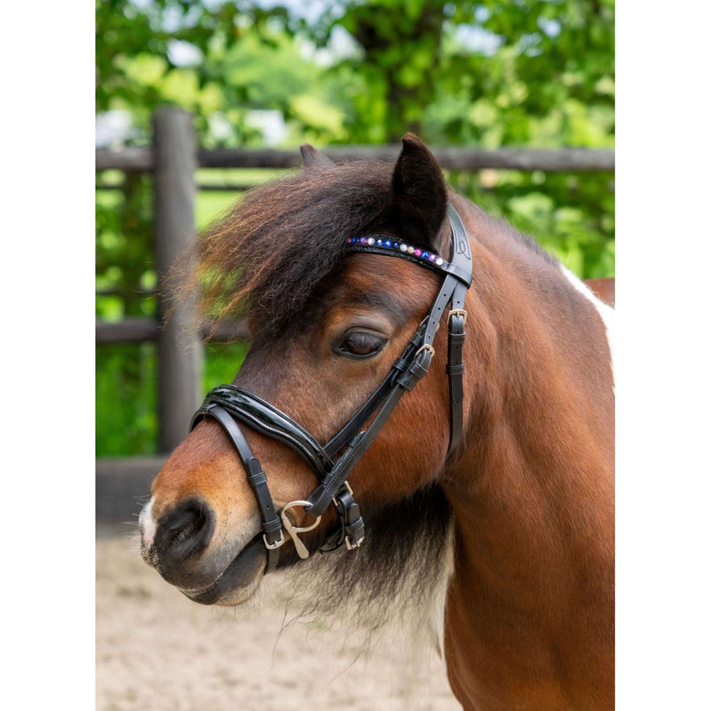 HB Hoofdstel Showtime Petit Royal Zwart