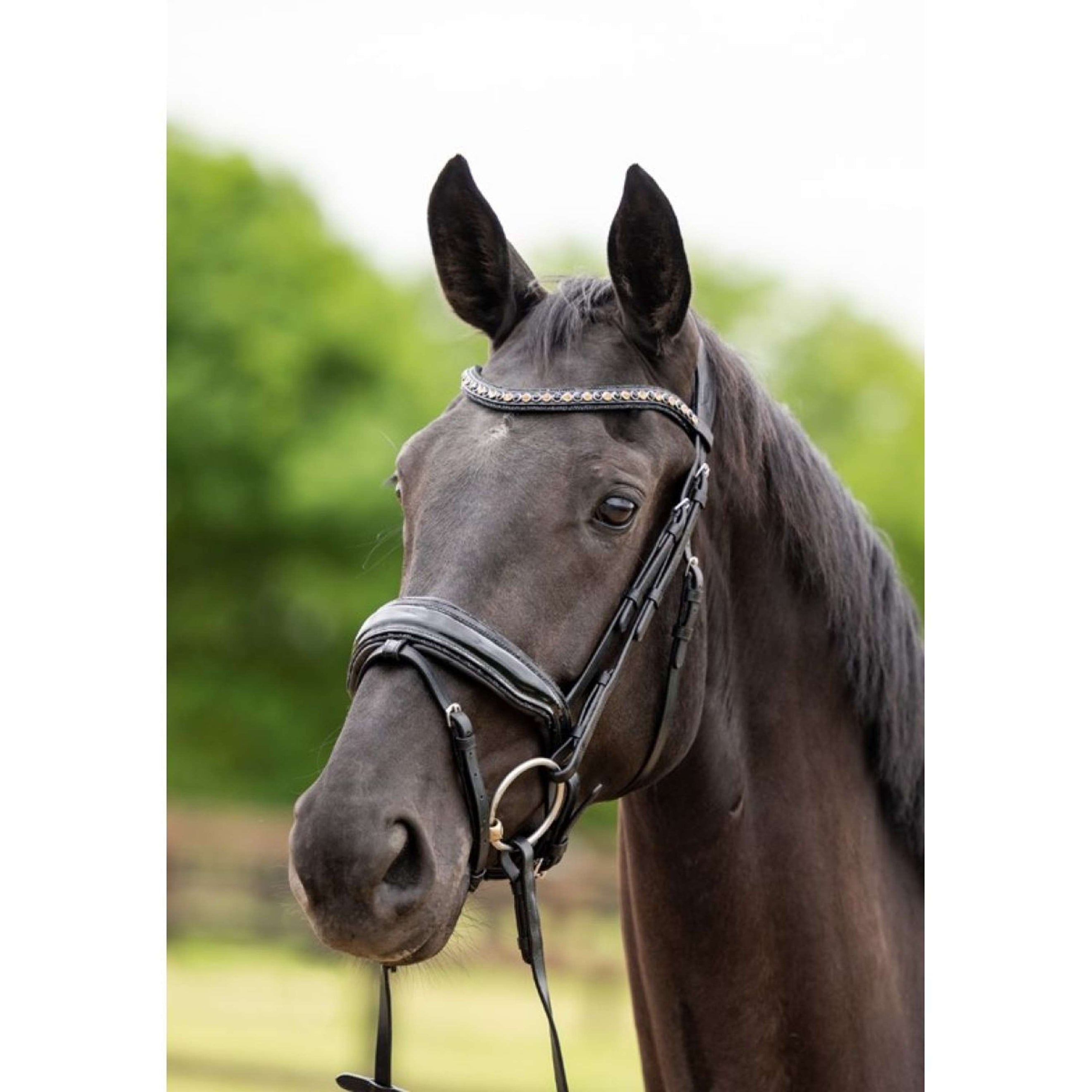 HB Showtime Hoofdstel Las Vegas Zwart/Zwart Glitter HB Showtime Hoofdstel Las Vegas Zwart/Zwart Glitter