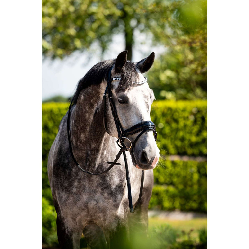 HB Hoofdstel Showtime Ultimate Dream Zwart