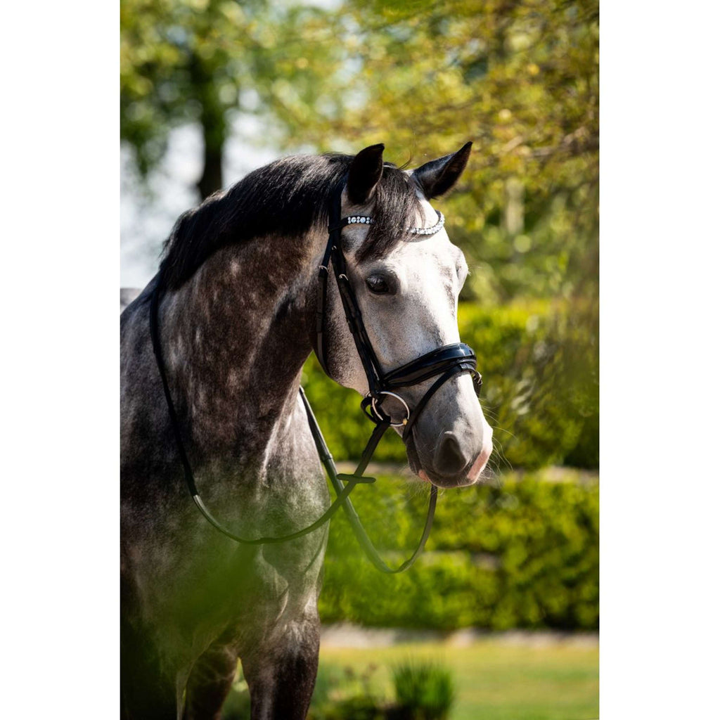 HB Hoofdstel Showtime Ultimate Dream Zwart