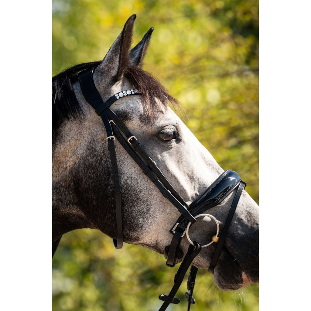 HB Hoofdstel Showtime Ultimate Dream Zwart