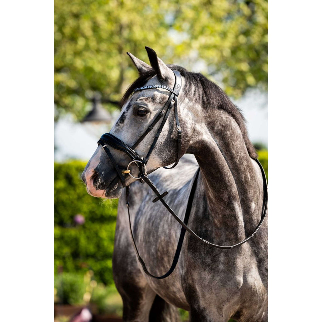 HB Hoofdstel Showtime Ultimate Dream Zwart