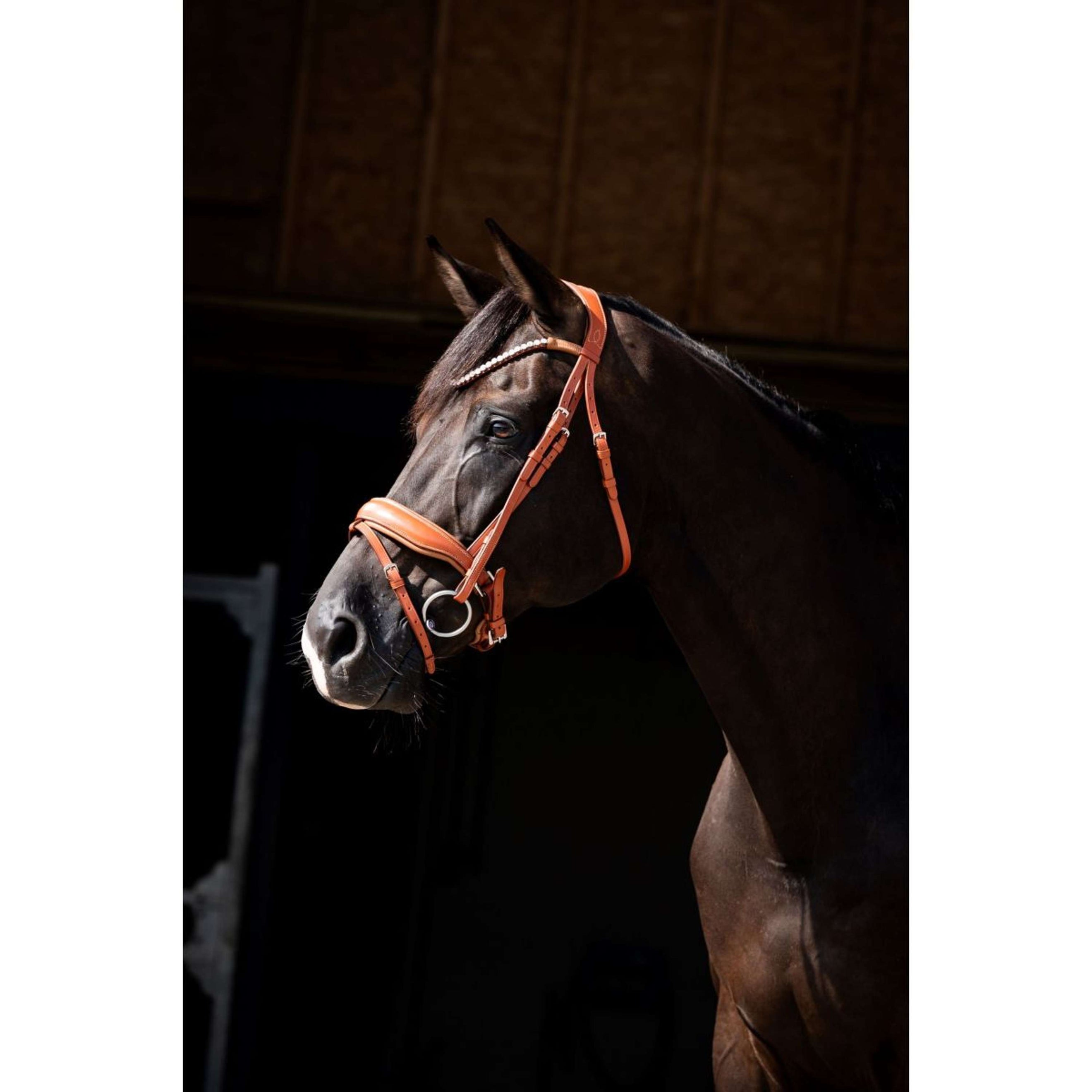 HB Showtime Hoofdstel Chesnuth Cognac HB Showtime Hoofdstel Chesnuth Cognac