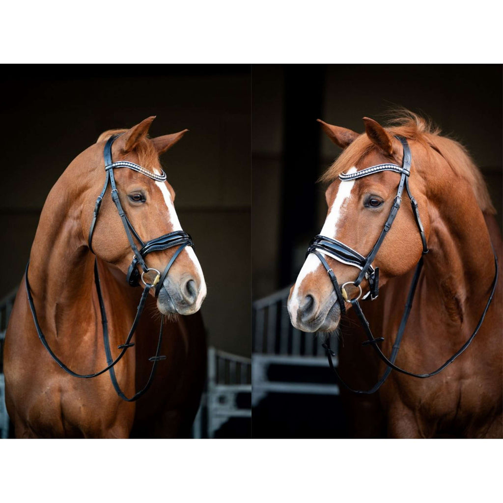 HB Showtime Hoofdstel Snowflake Zwart