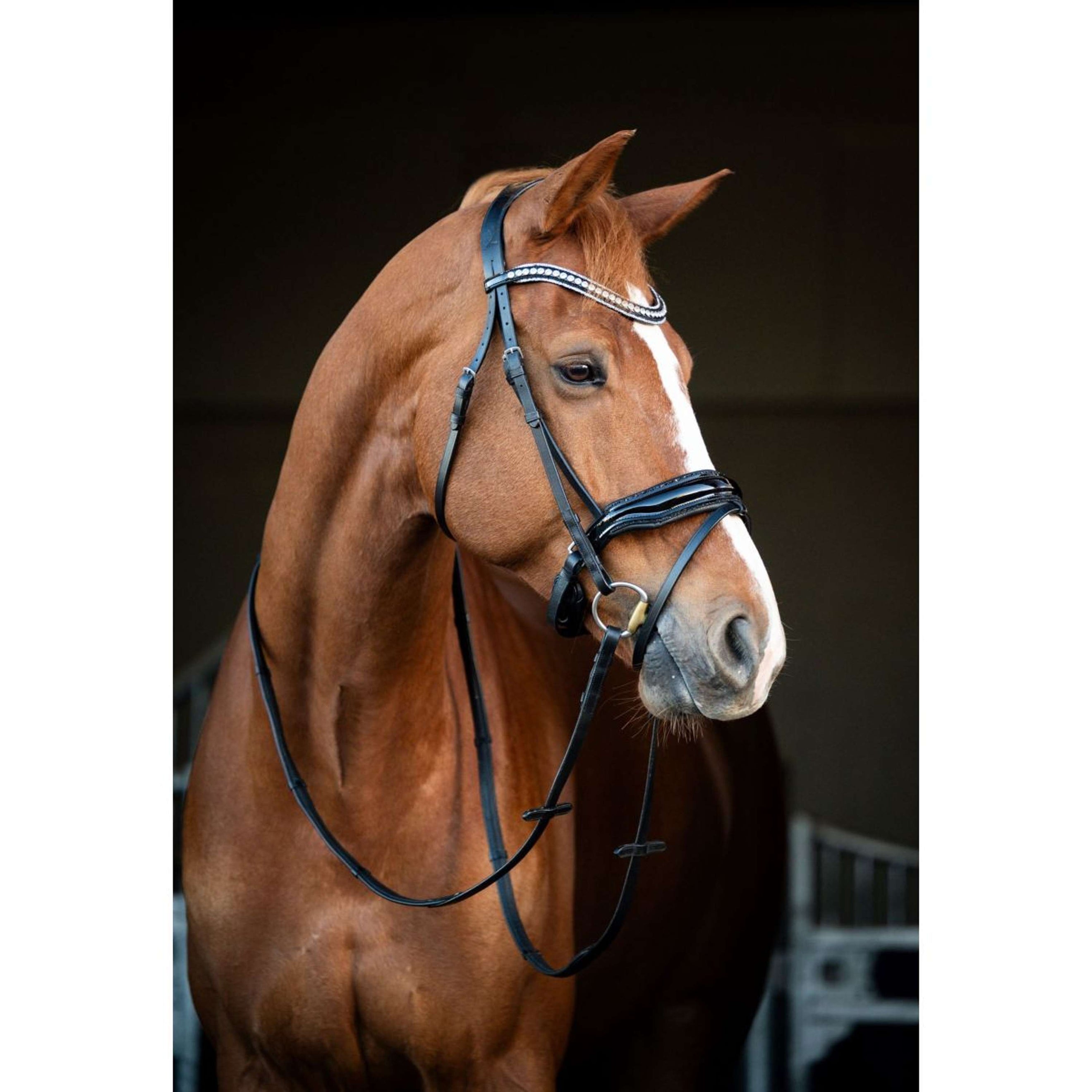 HB Showtime Hoofdstel Snowflake Zwart HB Showtime Hoofdstel Snowflake Zwart