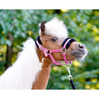 HB Halster Sunny Flower Fuchsia