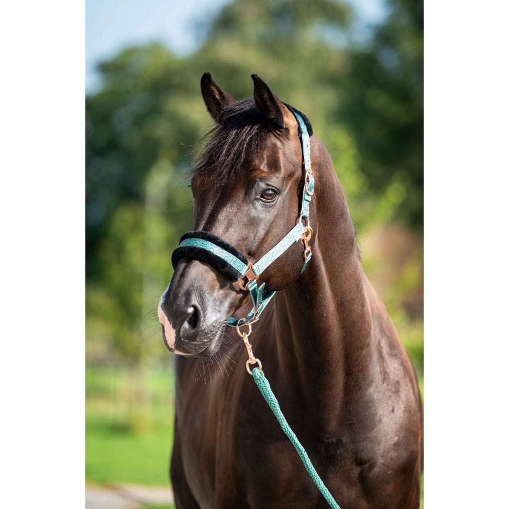 HB Halster Showtime Pioneer Bosgroen