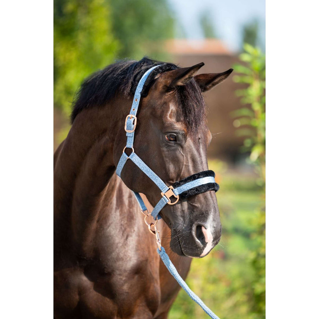 HB Halster Showtime Pioneer Ijsblauw