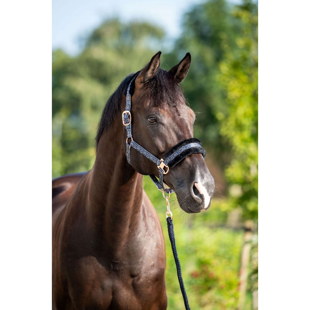 HB Halster Showtime Pioneer Zwart