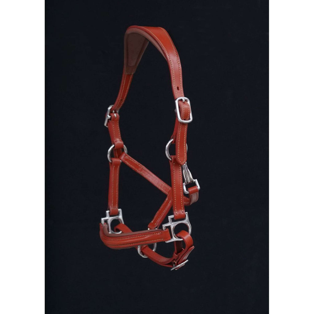 HB Halster Showtime Little Sizes Cognac/Cognac