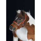 HB Halster Showtime Little Sizes Cognac/Cognac
