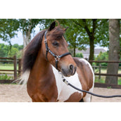 HB Ruitersport Halster Showtime Leather Rivet Swarovski Zwart/Navy