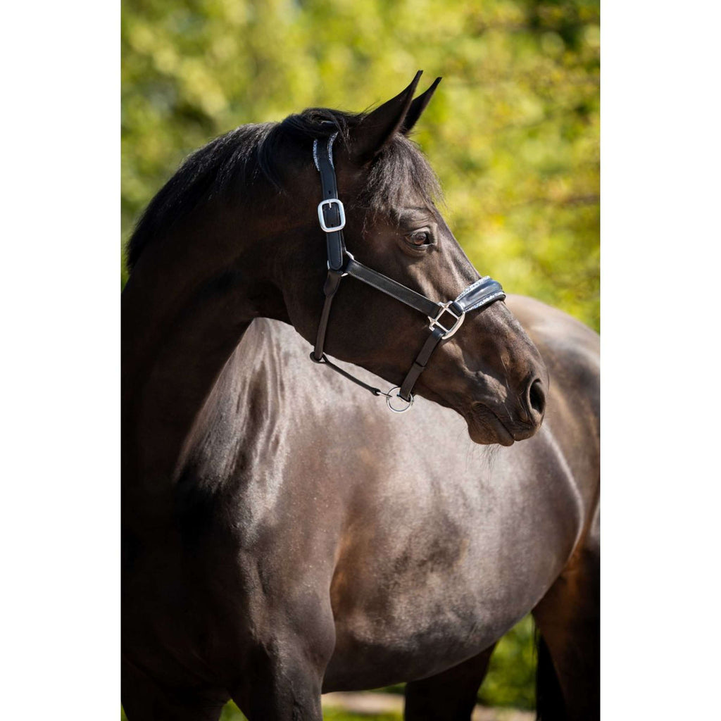 HB Halster Showtime Grand Slam Zwart/Aqua Blue