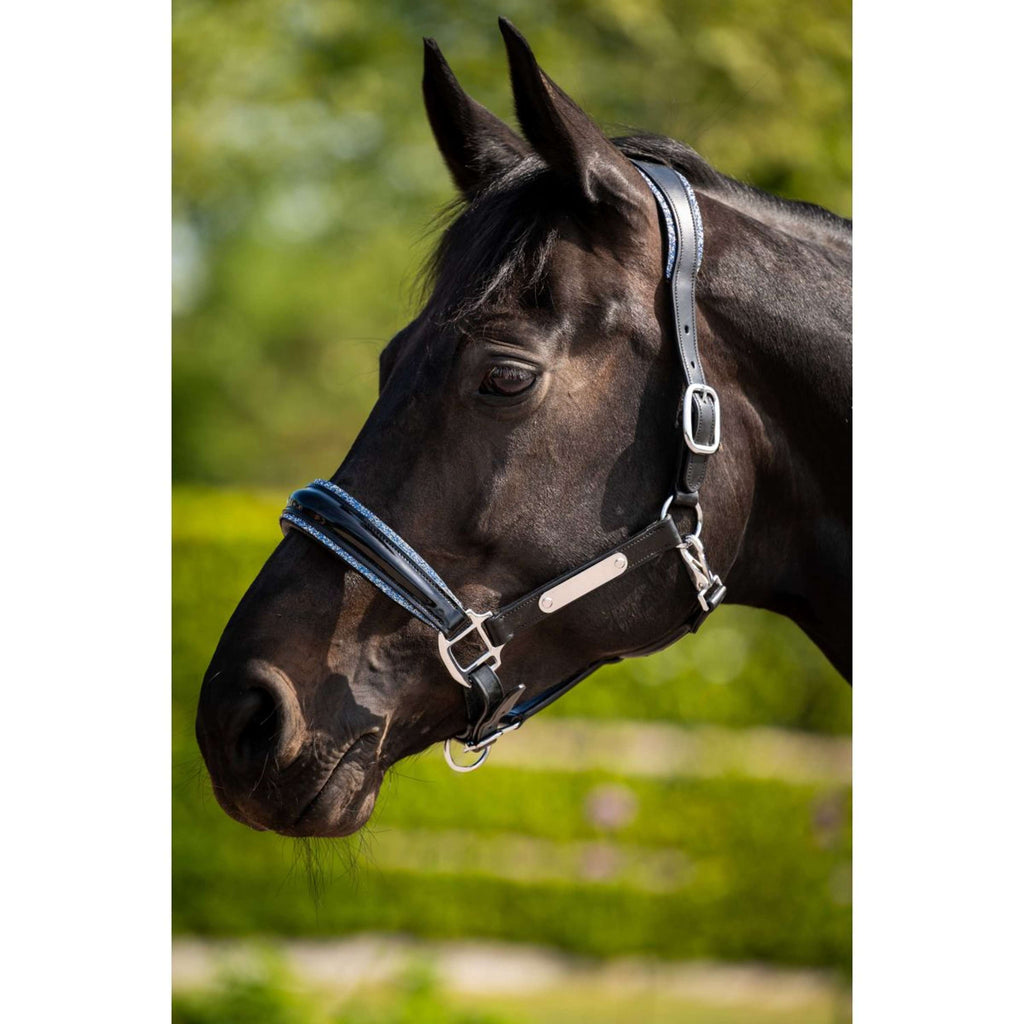 HB Halster Showtime Grand Slam Zwart/Aqua Blue