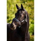 HB Halster Showtime Grand Slam Zwart/Aqua Blue