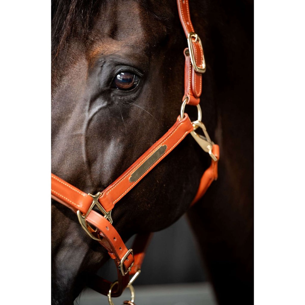 HB Showtime Halster Name Cognac
