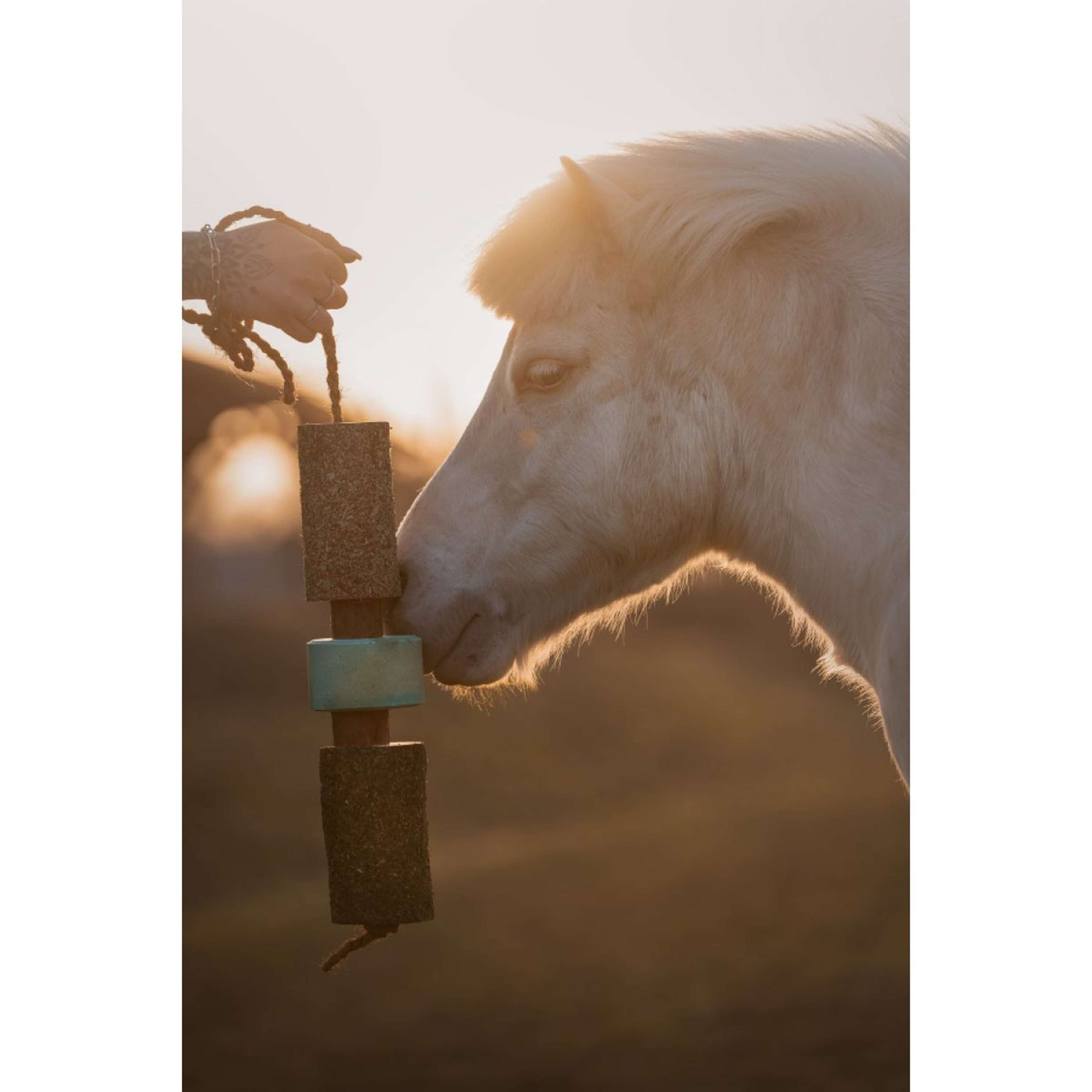 Herbie Kruidenhouten Speeltje Breath Herbie Kruidenhouten Speeltje Breath