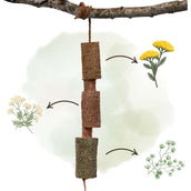 Herbie Kruidenhouten Speeltje Calm