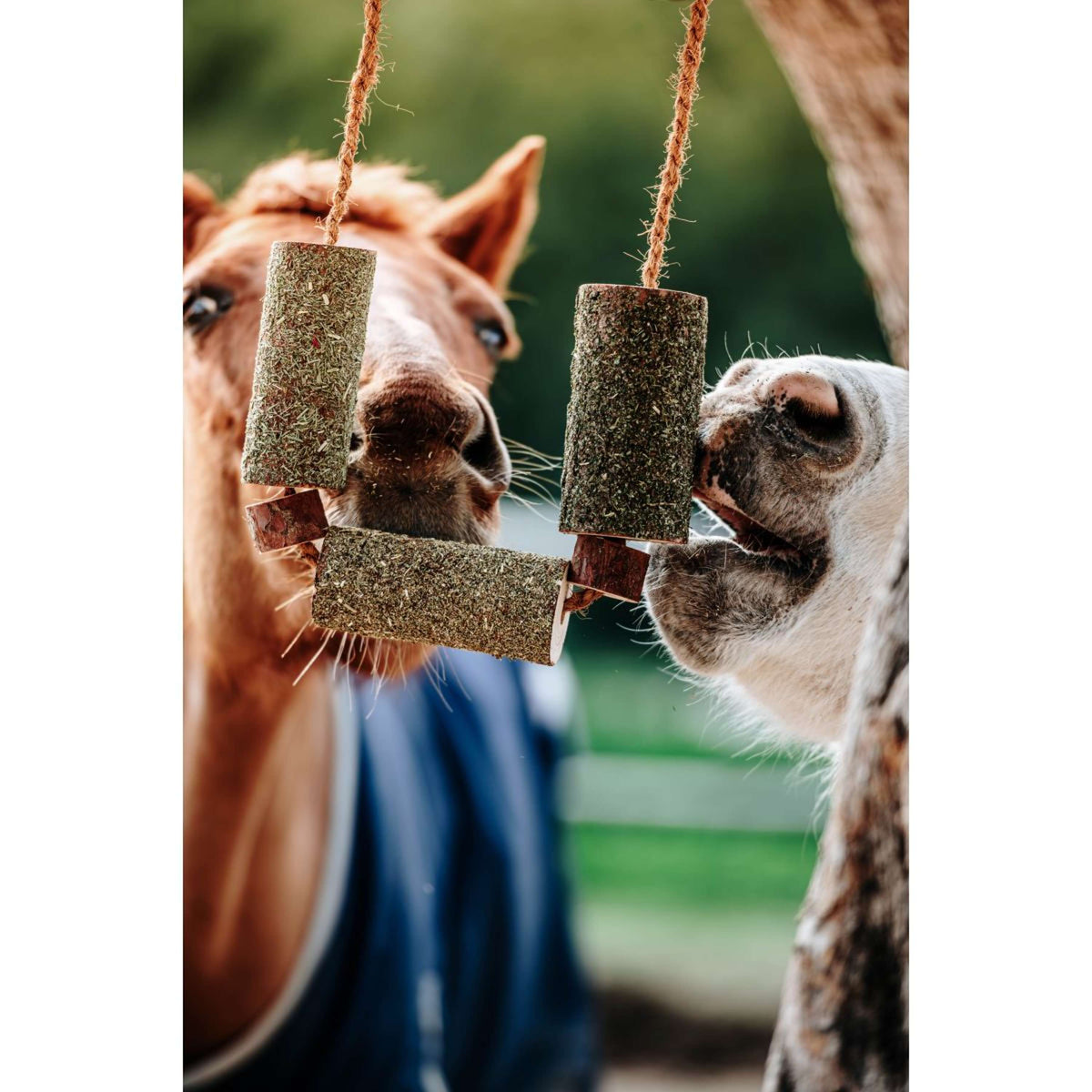 Herbie Kruidenhouten Speeltje Calm