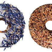 Candy Horse Donut Cornflower/Rosehip