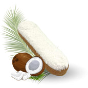 Candy Horse Koekjes Coconut Eclair