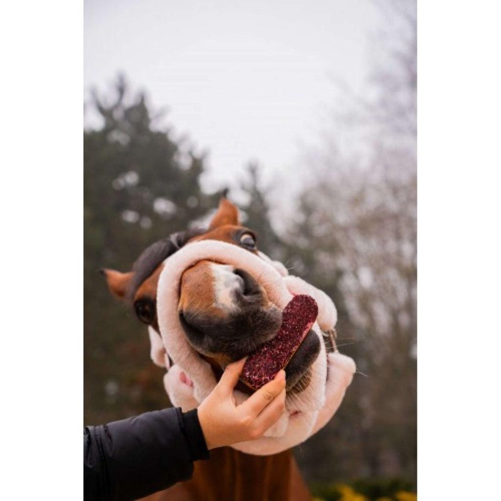 Candy Horse Love Koekje Hibiscus Eclair