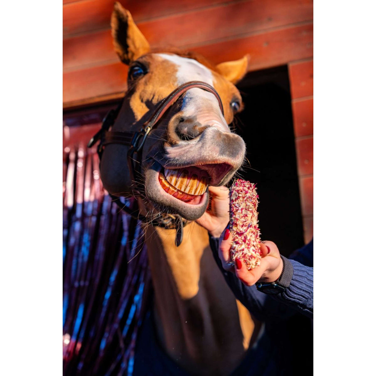 Candy Horse Love Koekje Cornflower Eclair