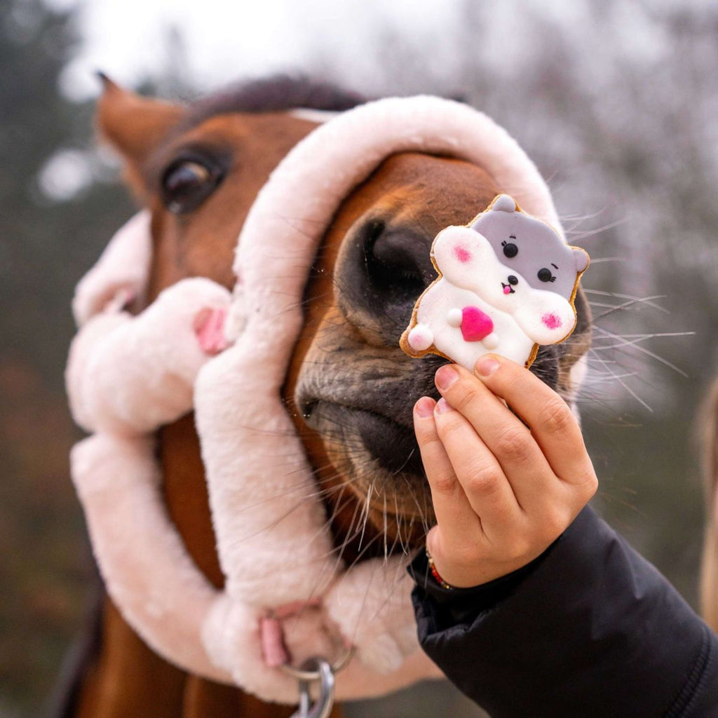 Candy Horse Love Cookie Hamster