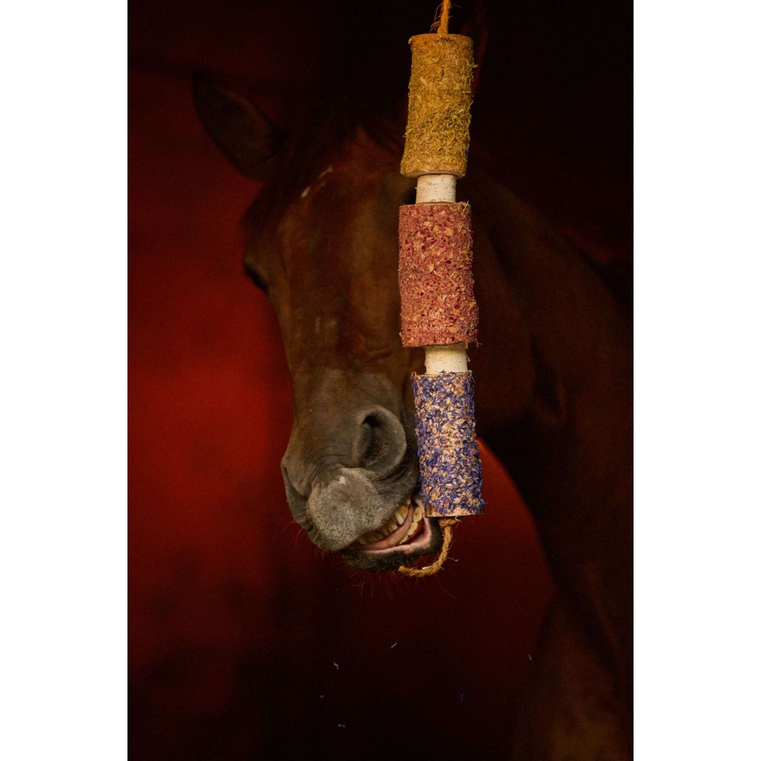 Herbie Kruidenhouten Speeltje Happiness Herbie Kruidenhouten Speeltje Happiness