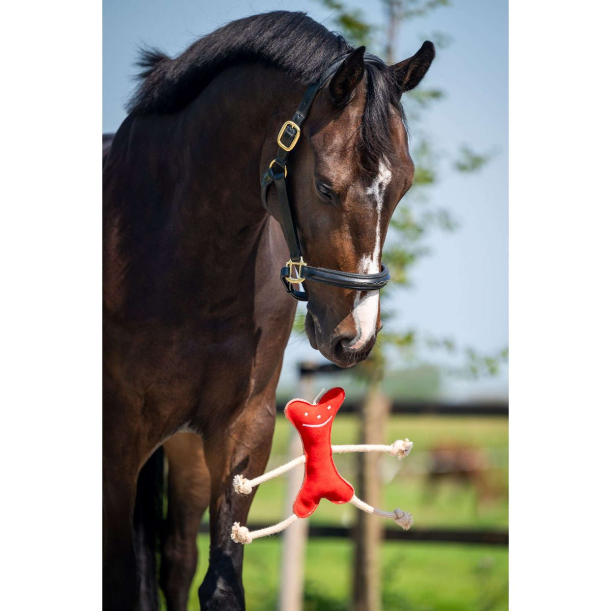 HB Horse Toy Mr Roper Rood