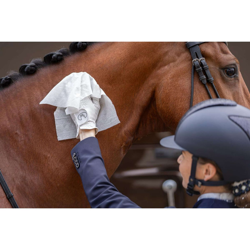 HB HorseWipes Natural Clean Wit