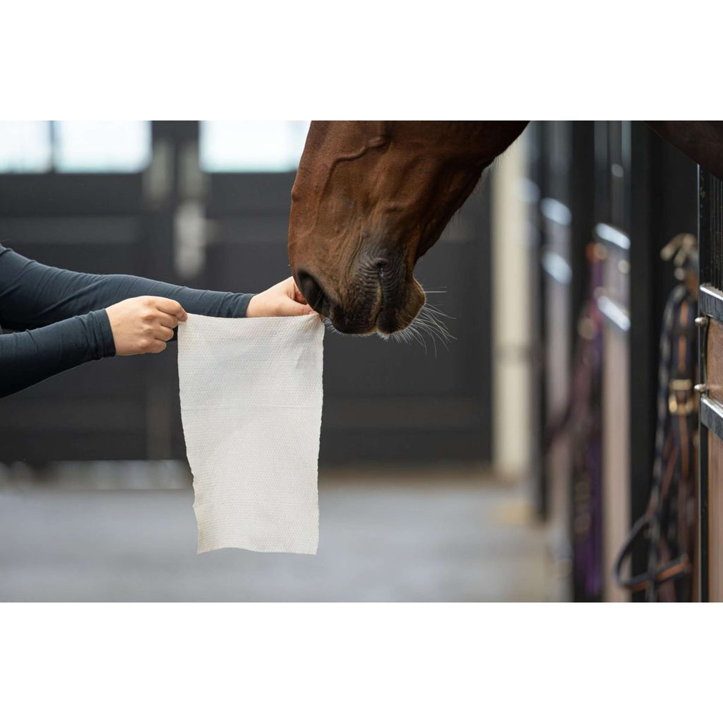HB HorseWipes Natural Clean Wit