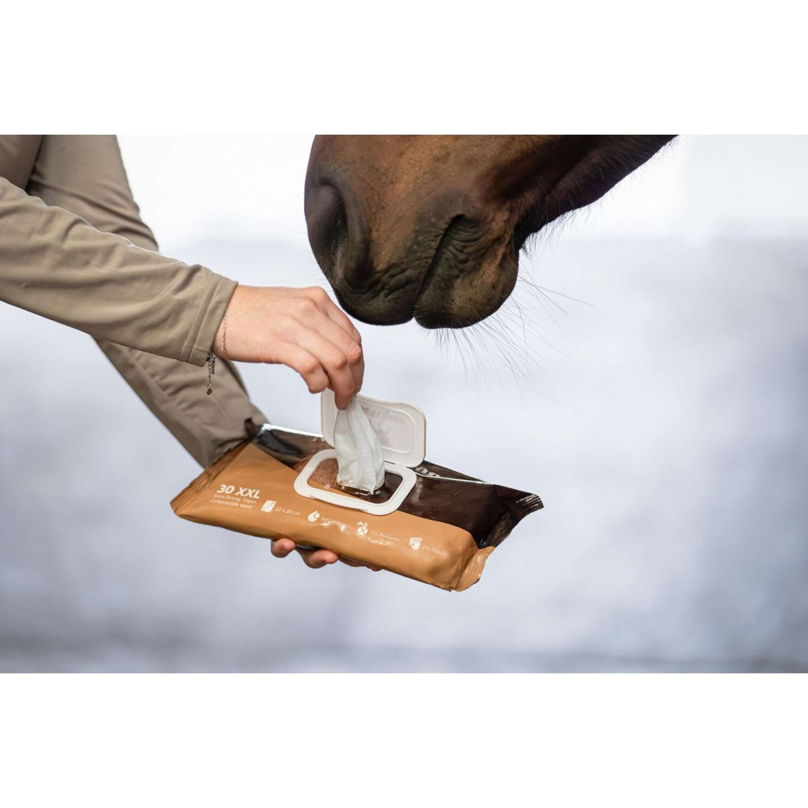 HB HorseWipes Natural Clean Wit