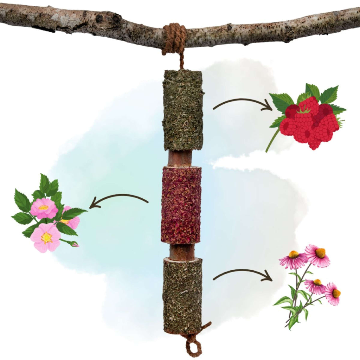 Herbie Kruidenhouten Speeltje Immunity