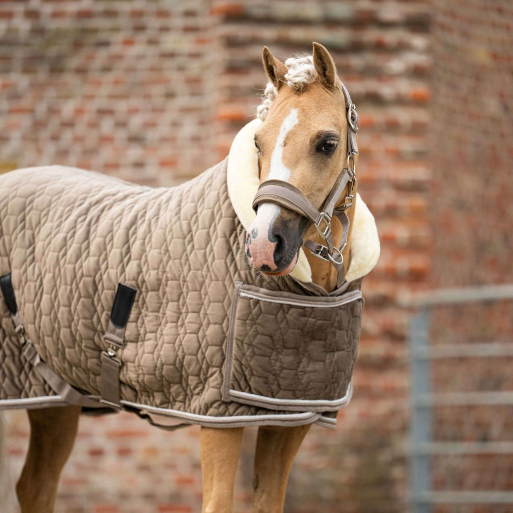 HB Ruitersport Showdeken Special Peach Taupe