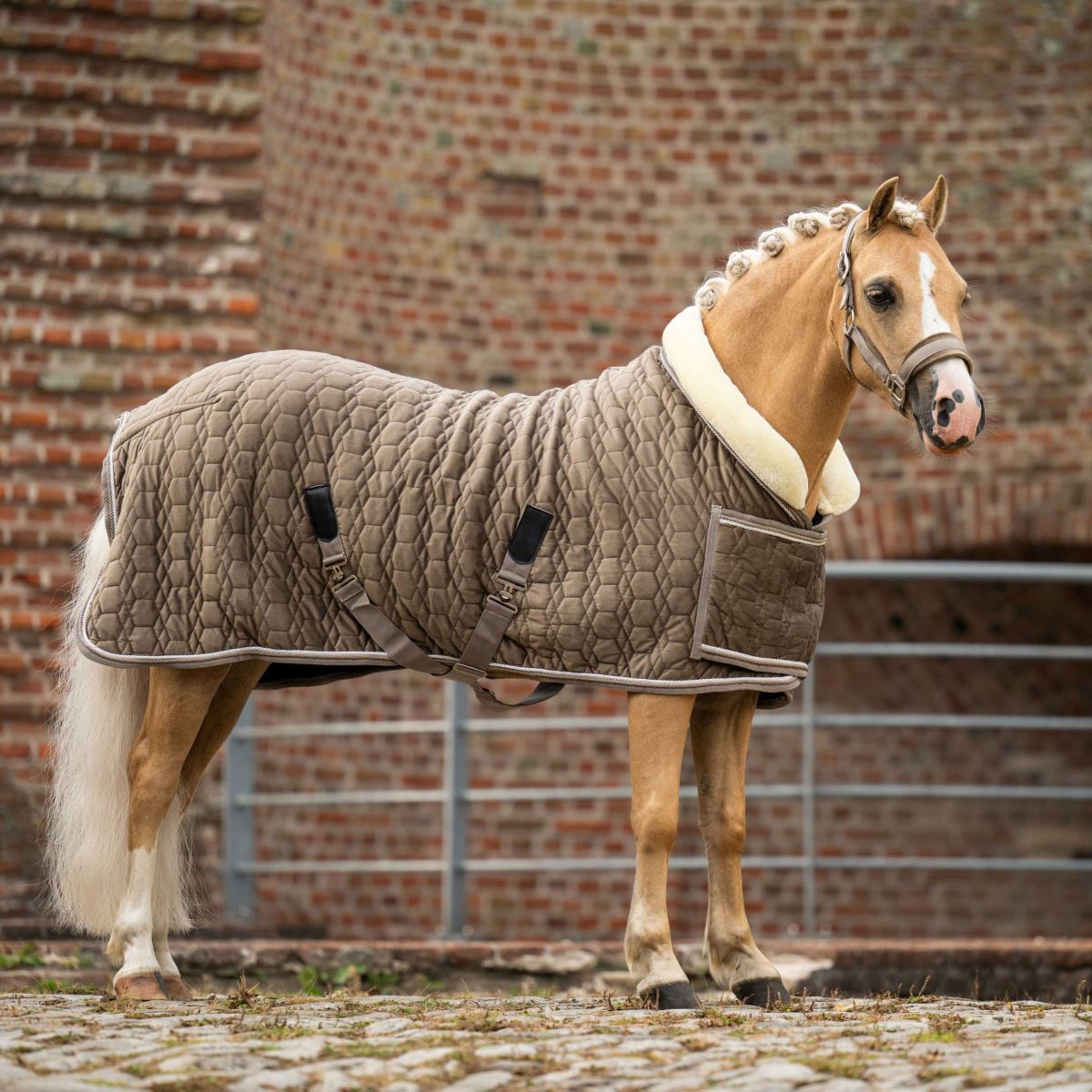 HB Ruitersport Showdeken Special Peach Taupe
